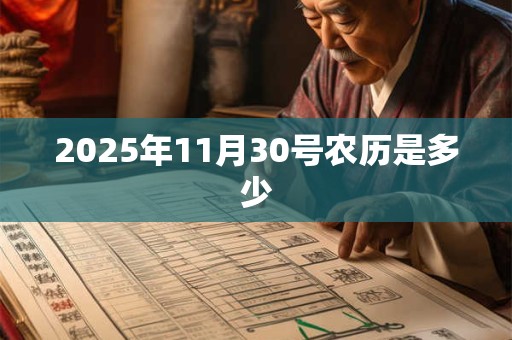 2025年11月30号农历是多少