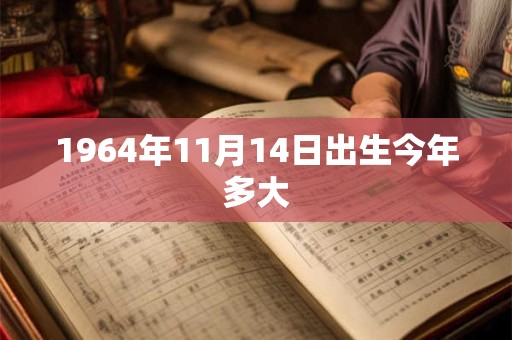 1964年11月14日出生今年多大