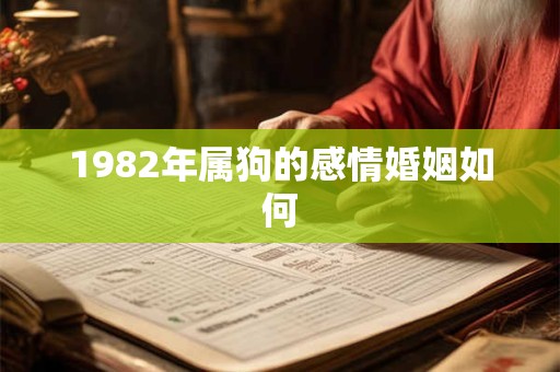 1982年属狗的感情婚姻如何