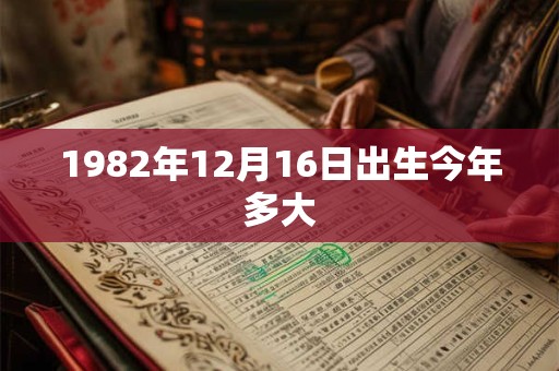 1982年12月16日出生今年多大