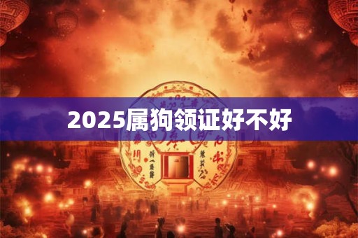 2025属狗领证好不好
