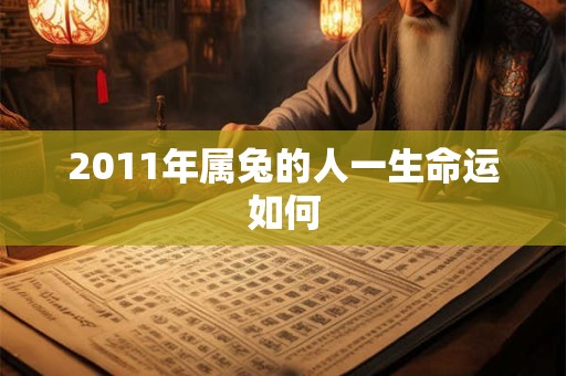 2011年属兔的人一生命运如何