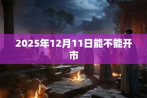 2025年12月11日能不能开市