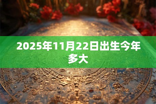 2025年11月22日出生今年多大