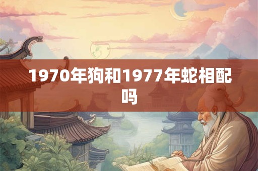 1970年狗和1977年蛇相配吗