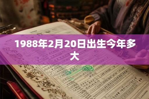 1988年2月20日出生今年多大