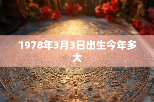 1978年3月3日出生今年多大