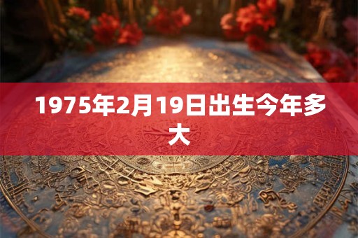 1975年2月19日出生今年多大