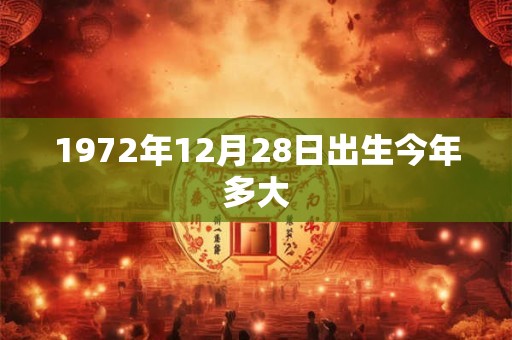 1972年12月28日出生今年多大