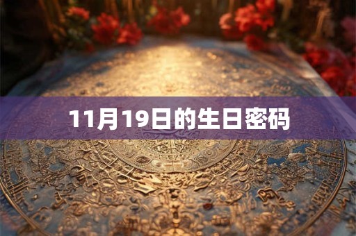 11月19日的生日密码