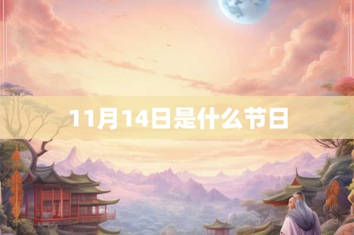 11月14日是什么节日
