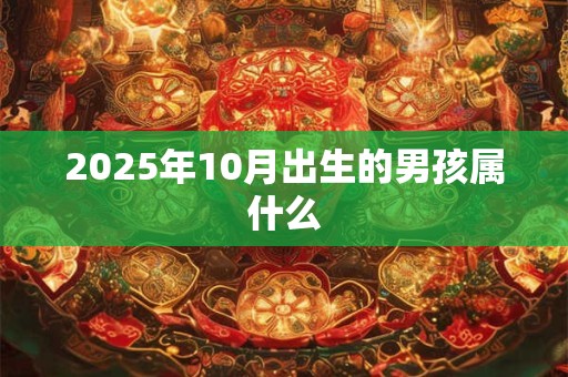 2025年10月出生的男孩属什么