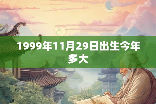 1999年11月29日出生今年多大