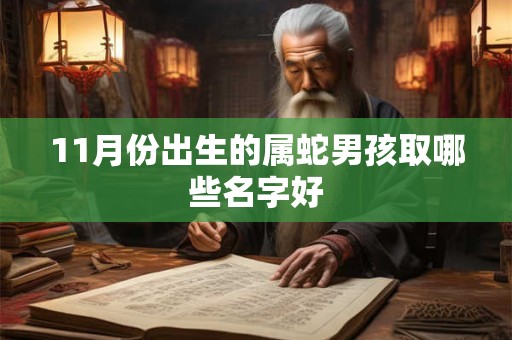 11月份出生的属蛇男孩取哪些名字好