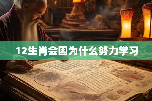 12生肖会因为什么努力学习