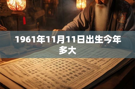 1961年11月11日出生今年多大