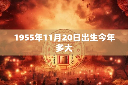 1955年11月20日出生今年多大