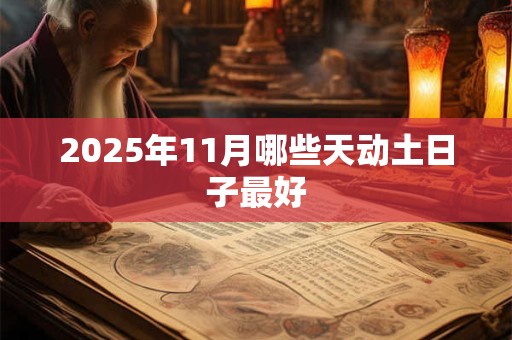 2025年11月哪些天动土日子最好