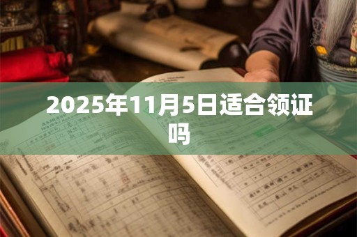 2025年11月5日适合领证吗