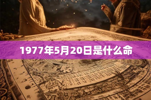 1977年5月20日是什么命