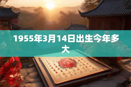 1955年3月14日出生今年多大