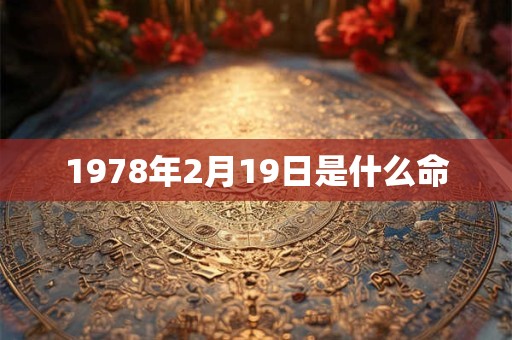 1978年2月19日是什么命