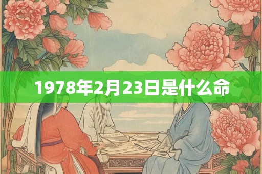 1978年2月23日是什么命