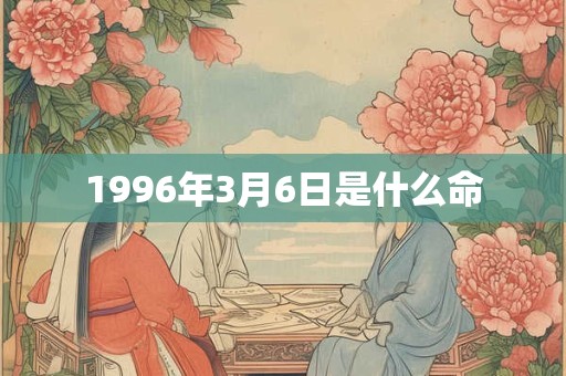1996年3月6日是什么命