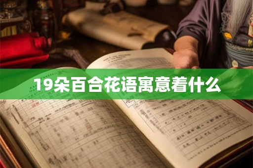 19朵百合花语寓意着什么
