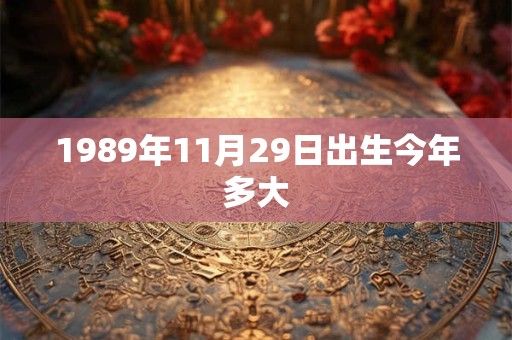 1989年11月29日出生今年多大
