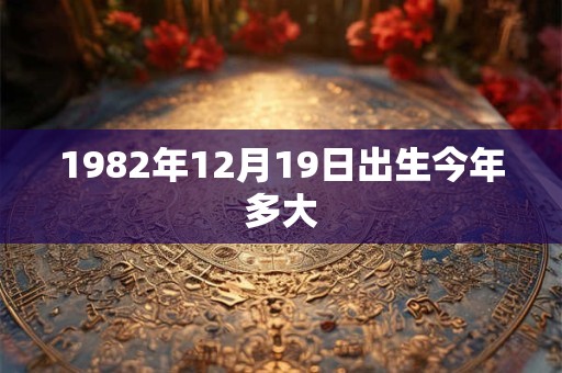1982年12月19日出生今年多大