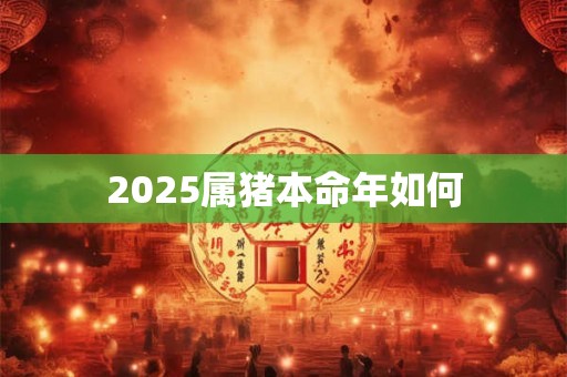 2025属猪本命年如何