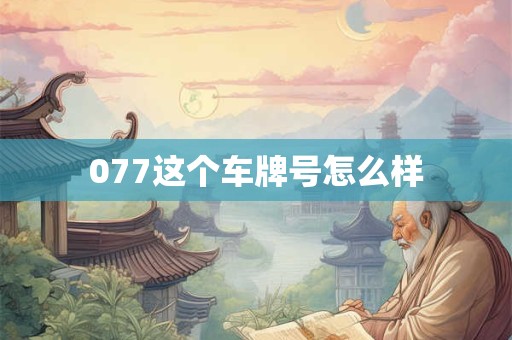 077这个车牌号怎么样