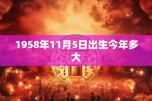 1958年11月5日出生今年多大