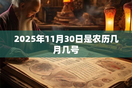 2025年11月30日是农历几月几号