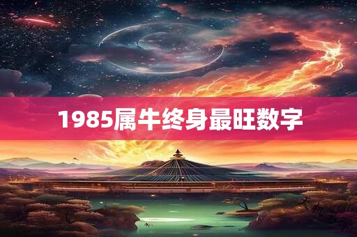 1985属牛终身最旺数字
