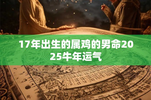 17年出生的属鸡的男命2025牛年运气