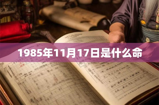 1985年11月17日是什么命