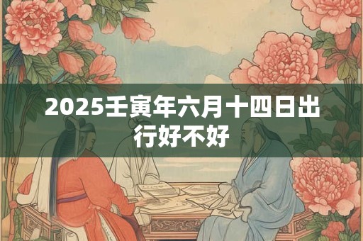 2025壬寅年六月十四日出行好不好