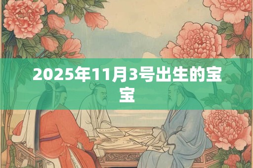 2025年11月3号出生的宝宝