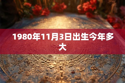 1980年11月3日出生今年多大