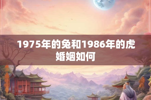 1975年的兔和1986年的虎婚姻如何