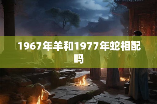 1967年羊和1977年蛇相配吗