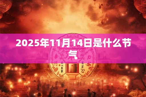2025年11月14日是什么节气