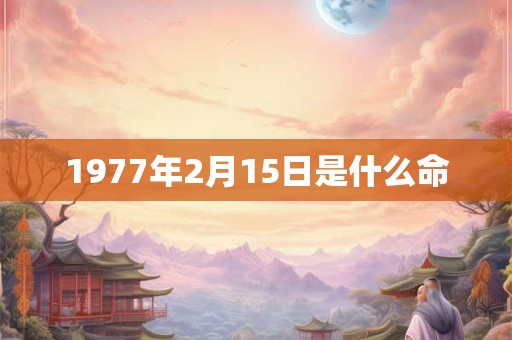 1977年2月15日是什么命