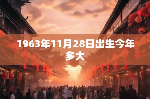 1963年11月28日出生今年多大