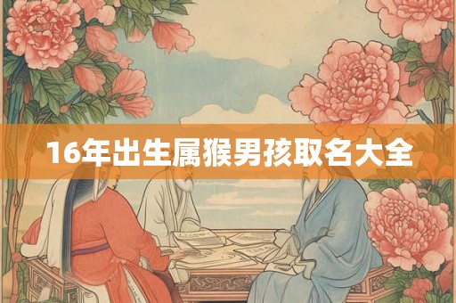 16年出生属猴男孩取名大全