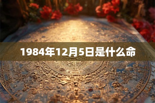 1984年12月5日是什么命