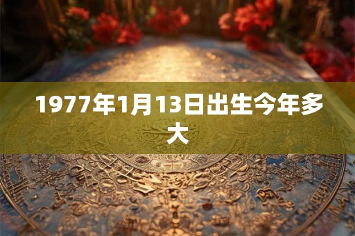 1977年1月13日出生今年多大