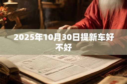 2025年10月30日提新车好不好